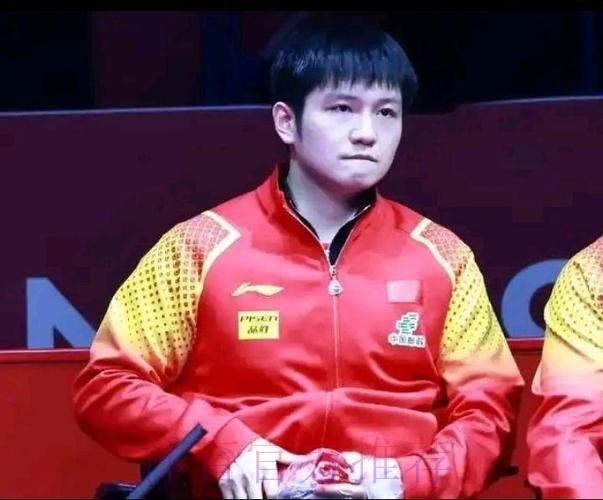 难怪樊振东不想回归！国乒祖师爷点出关键原因，实在是太欺负人了